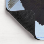 Cool Bald Eagle Wildlife Collectie Muismat (Hoek)