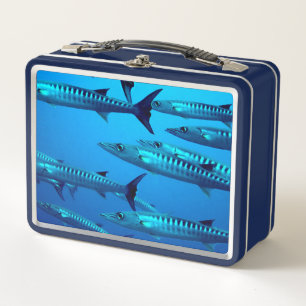 Cool Barracudas