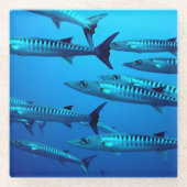 Cool Barracudas Glazen Onderzetter (Voorkant)