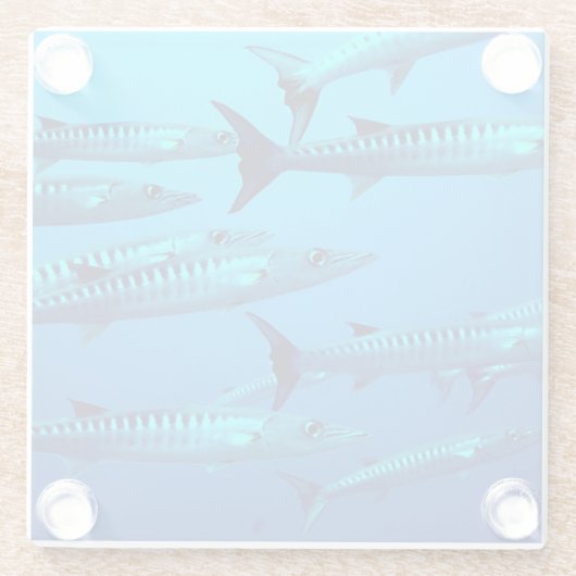 Cool Barracudas Glazen Onderzetter (Achterkant)