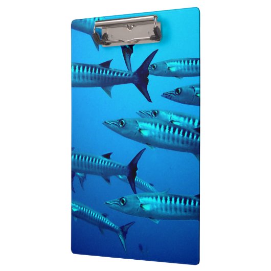 Cool Barracudas Klembord (Links)