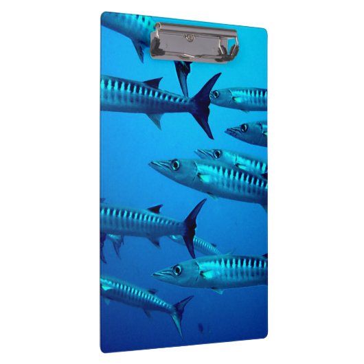 Cool Barracudas Klembord (Rechts)