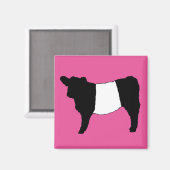 Cool Belted Galloway Cattle Rare Koe Beltie Steer Magneet (Voorkant / Achterkant)