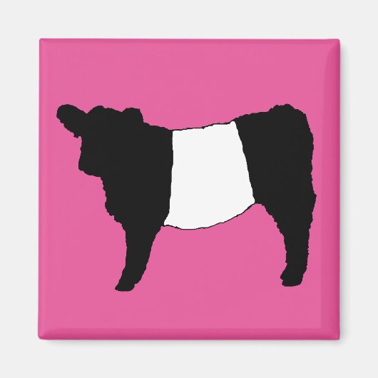Cool Belted Galloway Cattle Rare Koe Beltie Steer Magneet (Voorkant)