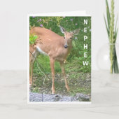 **COOL BESTE** ZEGT GELUKKIGE VERJAARDAG NEEF KAART (Voorkant)