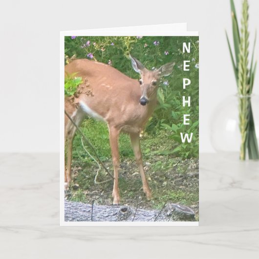 **COOL BESTE** ZEGT GELUKKIGE VERJAARDAG NEEF KAART (Voorkant)