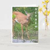 **COOL BESTE** ZEGT GELUKKIGE VERJAARDAG NEEF KAART (Gele Bloem)