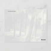 Cool Black and White Forest Sun Rays Natuur Giften Briefkaart (Achterkant)