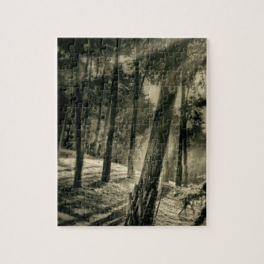 Cool Black en White Forest Sun Rays Natuur Gifts Legpuzzel (Verticaal)