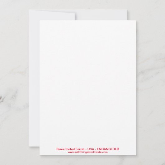 Cool Black-footed FERRET- Natuur -invitatie Kaart (Achterkant)