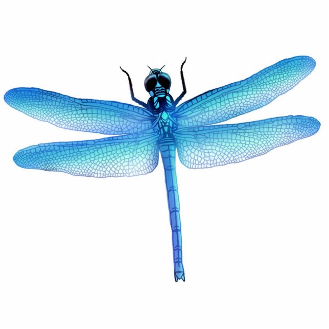 Cool Blue Dragonfly Ornament Fotobeeldje Ornament (Voorkant)
