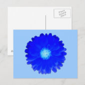 Cool Blue Marigold Briefkaart (Voorkant / Achterkant)