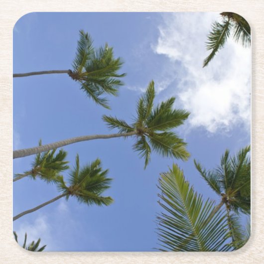 Cool Blue Sky en palmbomen Kartonnen Onderzetters (Voorkant)