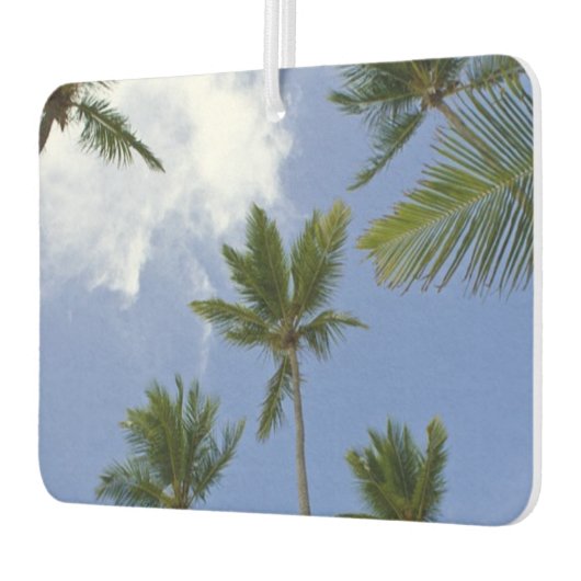Cool Blue Sky en palmbomen Luchtverfrisser (Links)