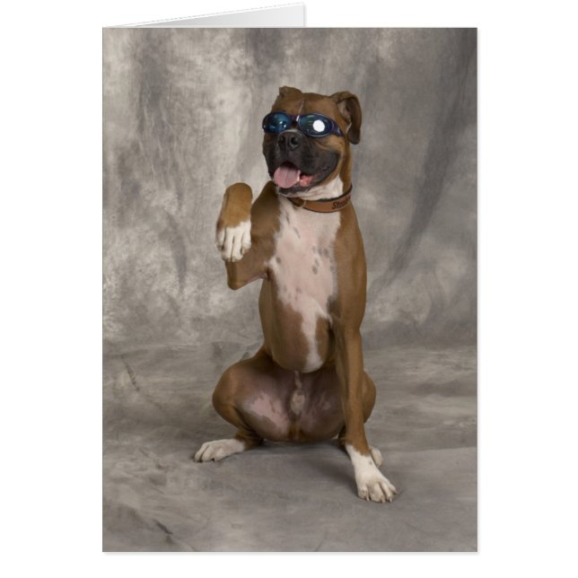 Cool Boxer (Voorkant)