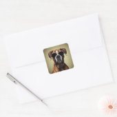 Cool Boxer Dog Vierkante Sticker (Envelop)