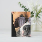 Cool Boxer in zonnebrillen briefkaart (Staand voorkant)