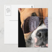 Cool Boxer in zonnebrillen briefkaart (Voorkant / Achterkant)