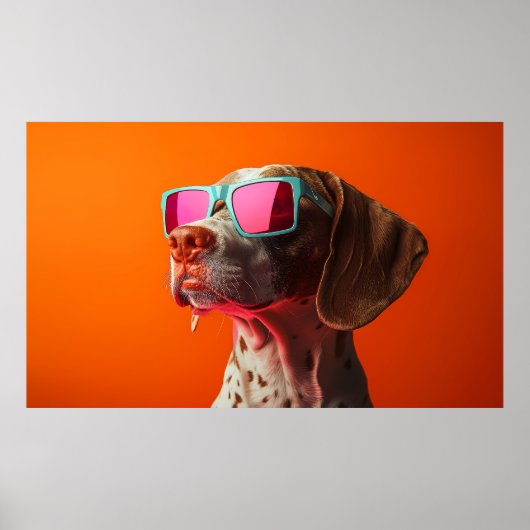 Cool Bracco italiano dog with sunglasses Poster (Voorkant)