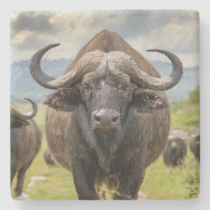 Cool Buffalo Stone Coaster! Stenen Onderzetter