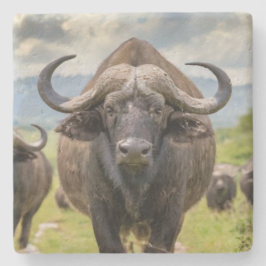 Cool Buffalo Stone Coaster! Stenen Onderzetter (Voorkant)