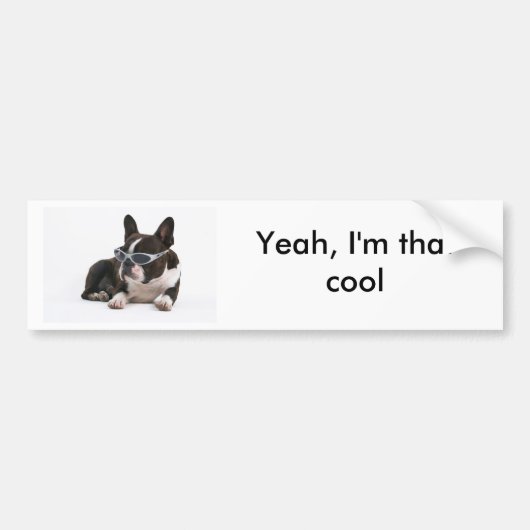 Cool Bulldog Bumpersticker - White (Voorkant)