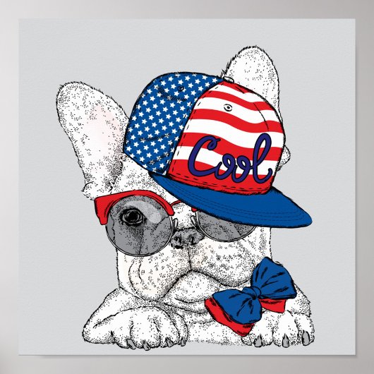Cool Bulldog Poster