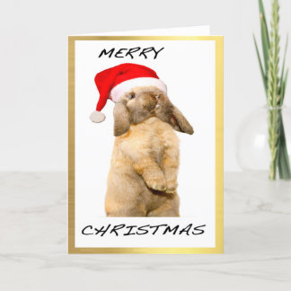 Cool Bunny design Christmas cards Feestdagen Kaart