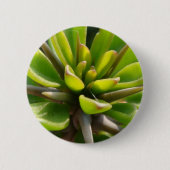 Cool Cactus Ronde Button 5,7 Cm (Voorkant)
