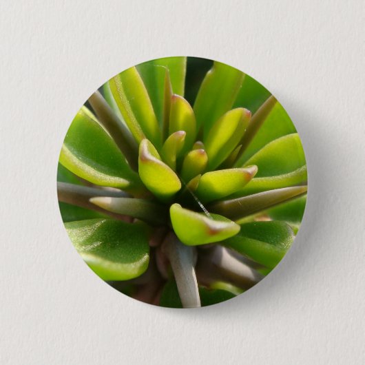 Cool Cactus Ronde Button 5,7 Cm (Voorkant)