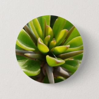 Cool Cactus Ronde Button 5,7 Cm