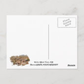 Cool Calico Ghost Town Briefkaart! Briefkaart (Achterkant)