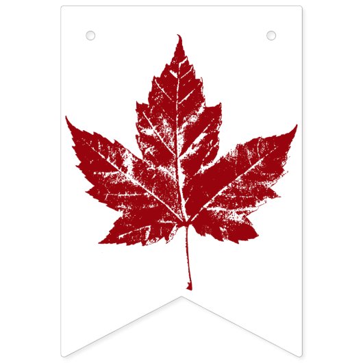 Cool Canada Bunting Banners Canada Day Decoratie (Derde vlag)