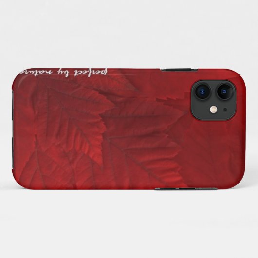 Cool Canada iPhone Case Canada Souvenirs (Achterkant (horizontaal))