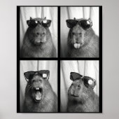 Cool Capybara With Sungles Photobooth Funny Rodent Poster (Voorkant)