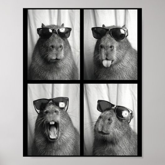 Cool Capybara With Sungles Photobooth Funny Rodent Poster (Voorkant)