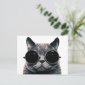 COOL CAT. BRIEFKAART (Staand voorkant)