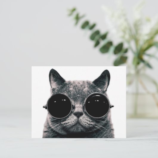 COOL CAT. BRIEFKAART (Staand voorkant)