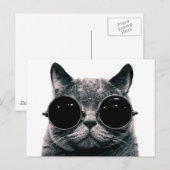 COOL CAT. BRIEFKAART (Voorkant / Achterkant)