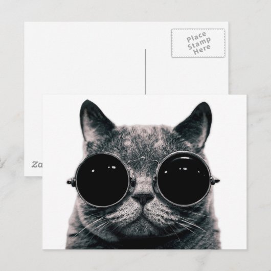 COOL CAT. BRIEFKAART (Voorkant / Achterkant)