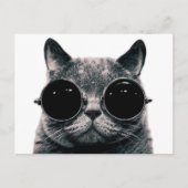 COOL CAT. BRIEFKAART (Voorkant)