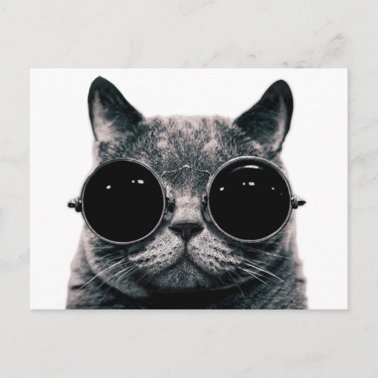 COOL CAT. BRIEFKAART (Voorkant)