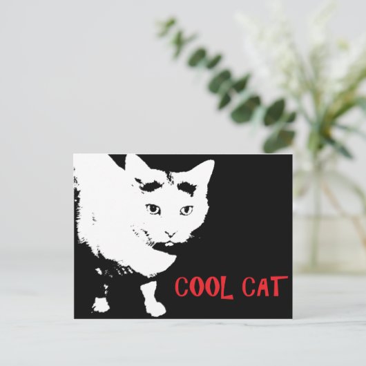 COOL CAT-BRIEFKAART BRIEFKAART (Staand voorkant)