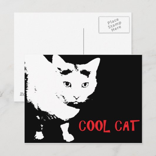 COOL CAT-BRIEFKAART BRIEFKAART (Voorkant / Achterkant)