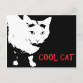 COOL CAT-BRIEFKAART BRIEFKAART (Voorkant)