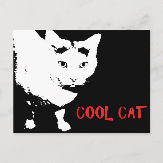 COOL CAT-BRIEFKAART BRIEFKAART (Voorkant)