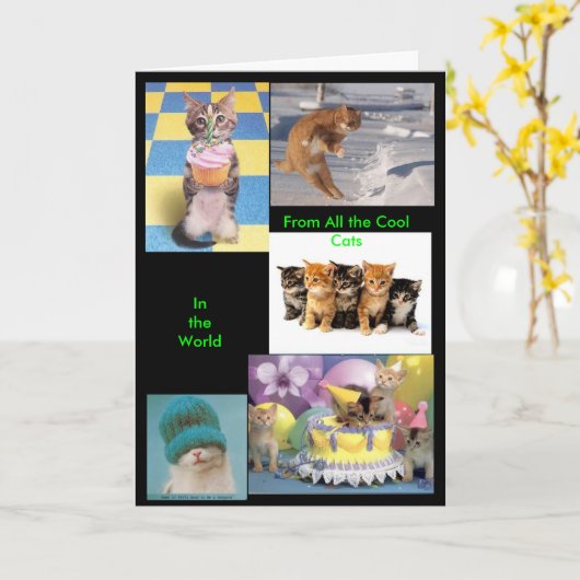 Cool Cat Card Kaart (Gele Bloem)