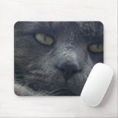 Cool Cat Face Muismat (Met muis)