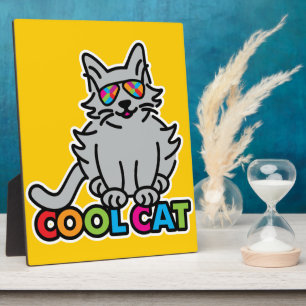 COOL CAT FOTOPLAAT