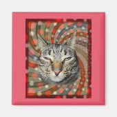 Cool Cat - JE KOPT JE CadeauT! Magneet (Voorkant)